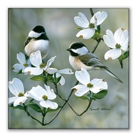 Spring Chickadees Square Magnet