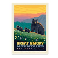 Great Smoky Mountains NP Romping Cubs
