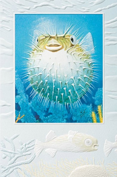 puffer-fish-fish-birthday-cards