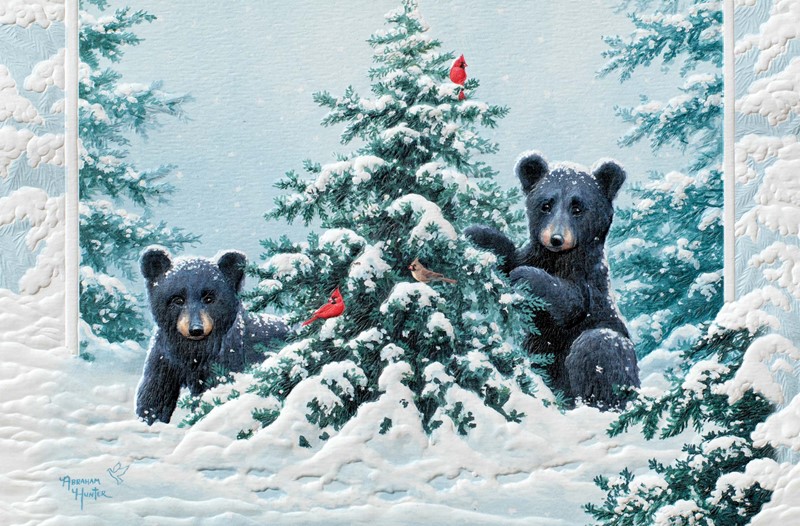 O' Christmas Tree Wildlife themed boxed Christmas cards