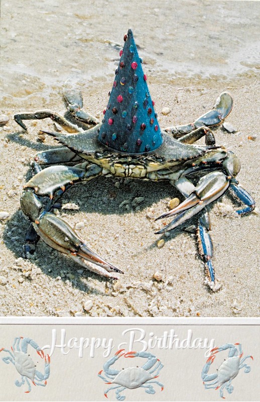 Party Crab Sealife themed birthday cards